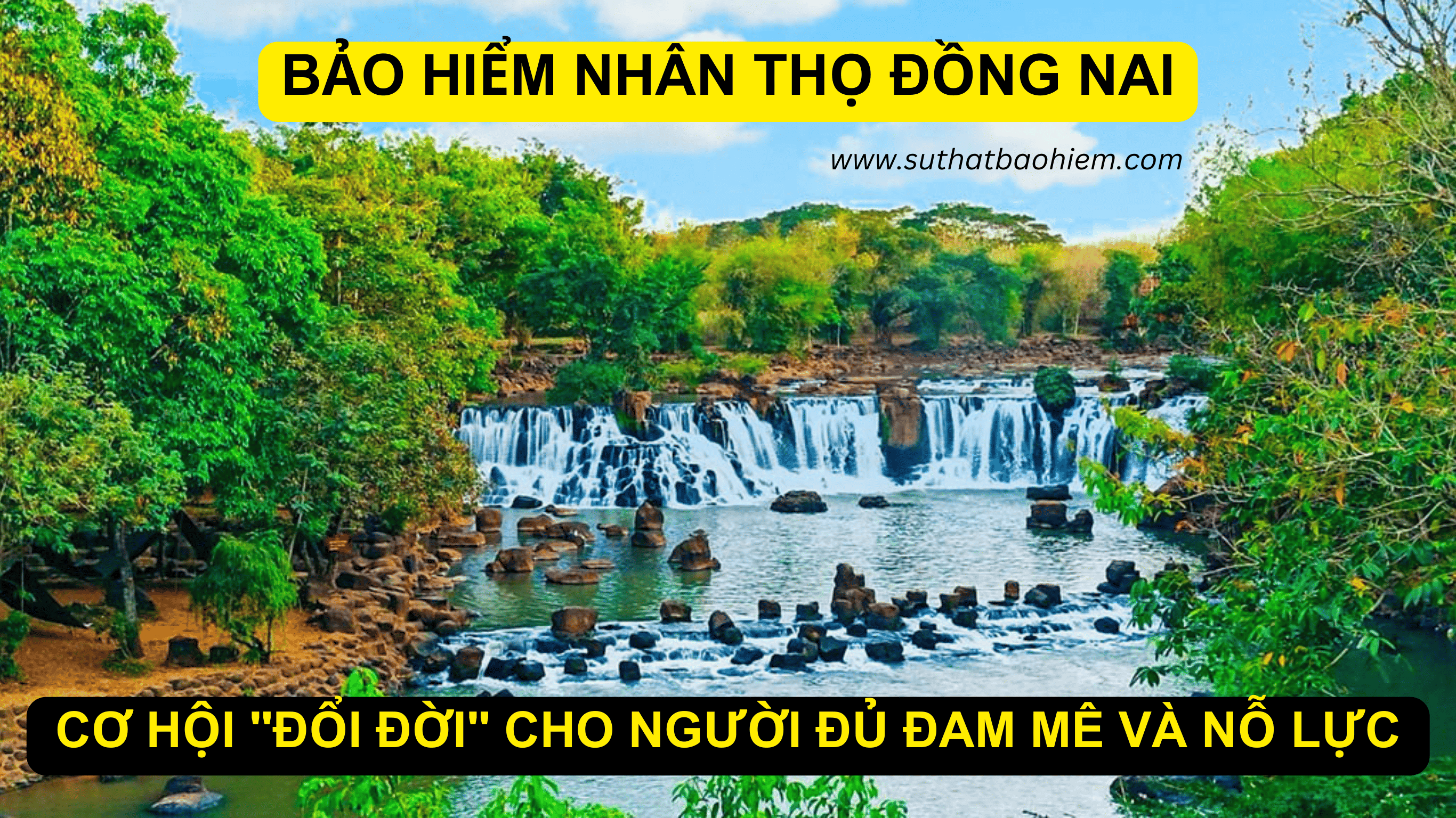 BAO HIEM NHAN THO HAI PHONG 15