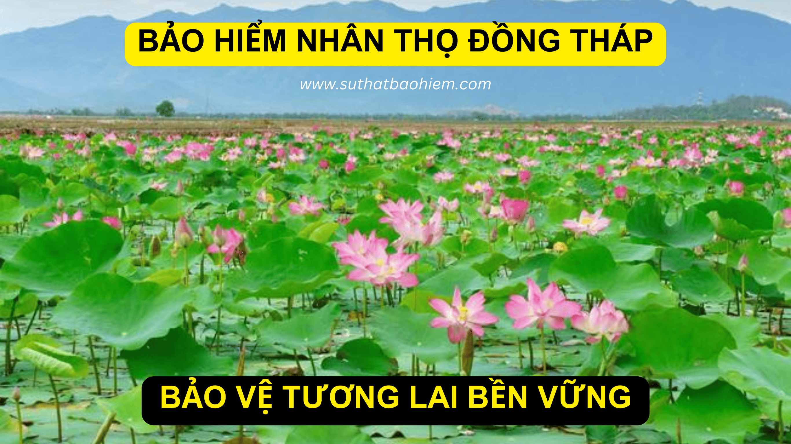 BAO HIEM NHAN THO HAI PHONG 19