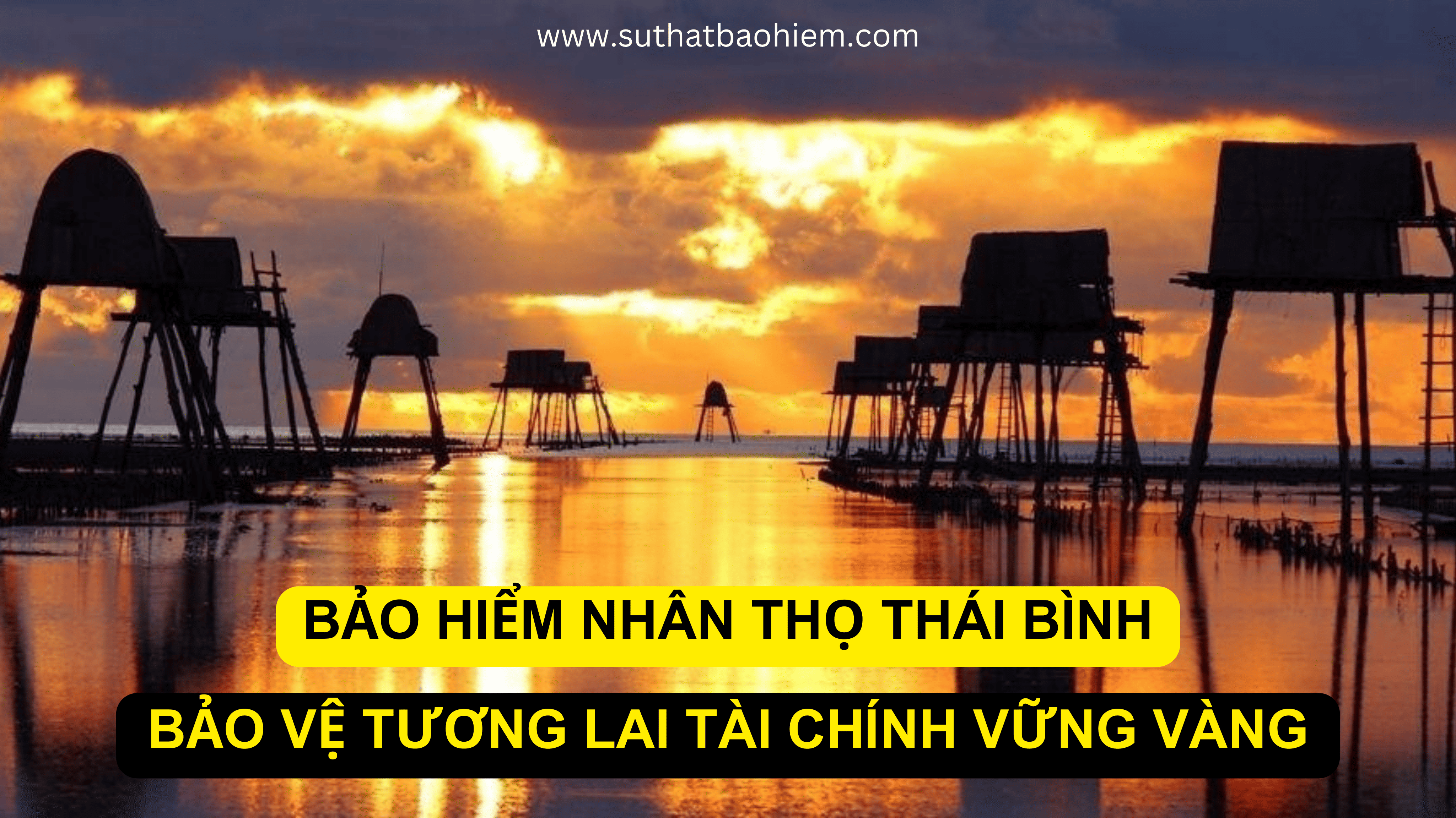 BAO HIEM NHAN THO HAI PHONG 4