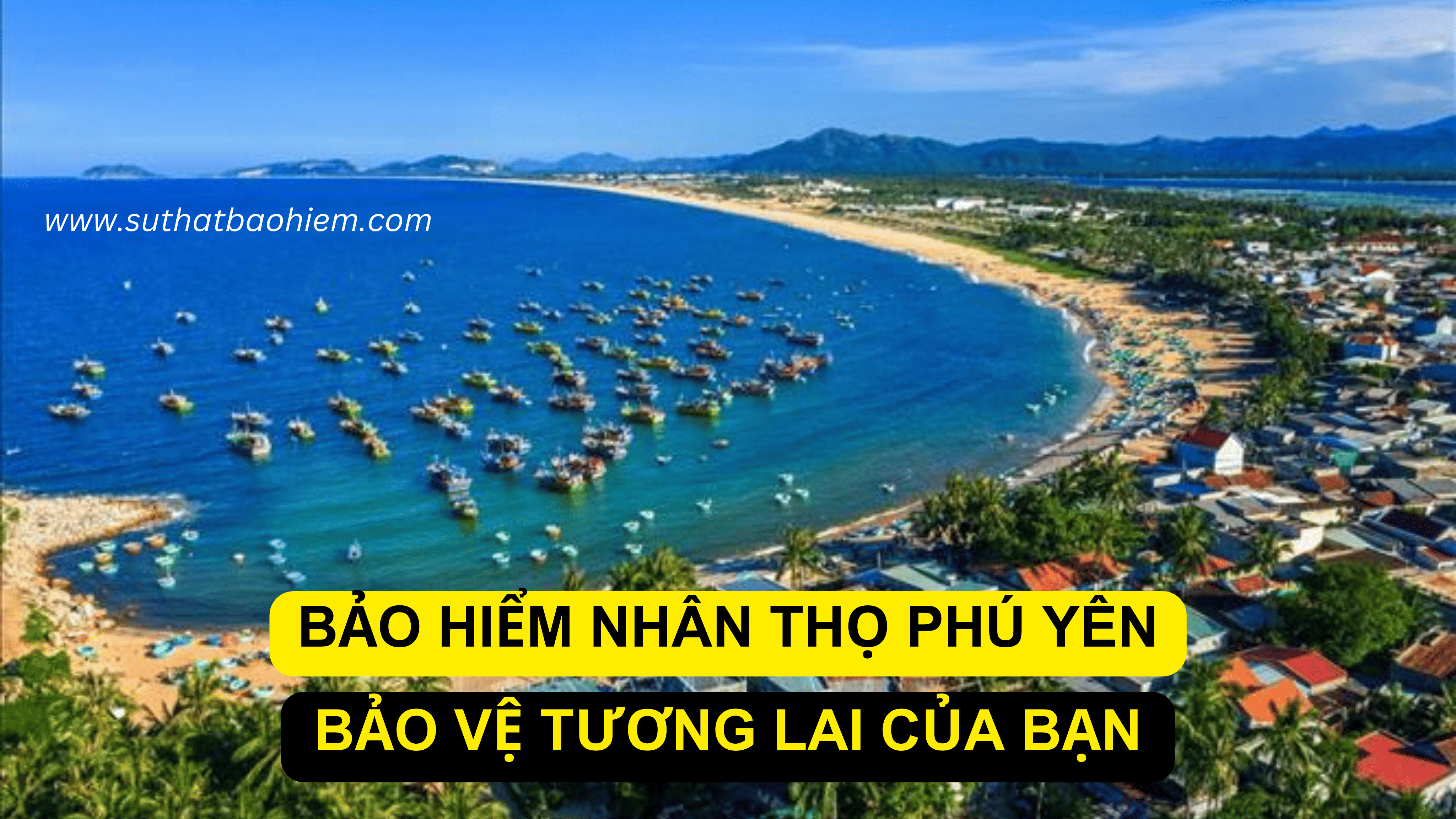 BAO HIEM NHAN THO HAI PHONG 6 1