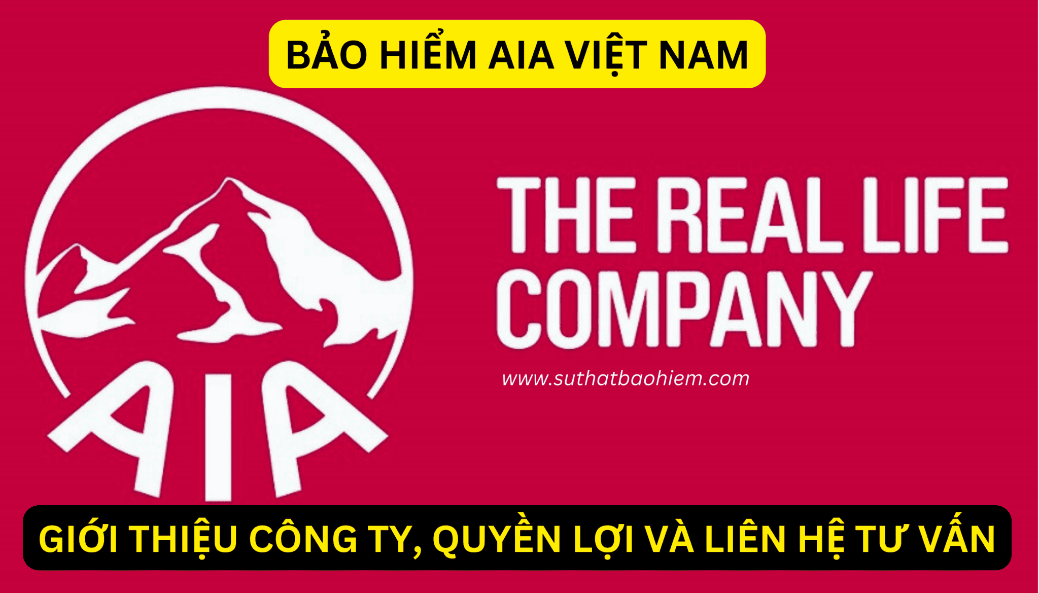 Bảo Hiểm Aia Việt Nam Giới Thiệu Công Ty Sản Phẩm Và Liên Hệ Tư Vấn